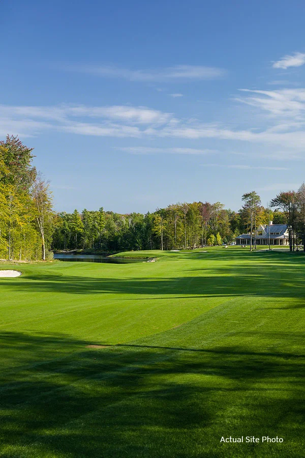 Lush green golf course with trees and clear blue sky.​